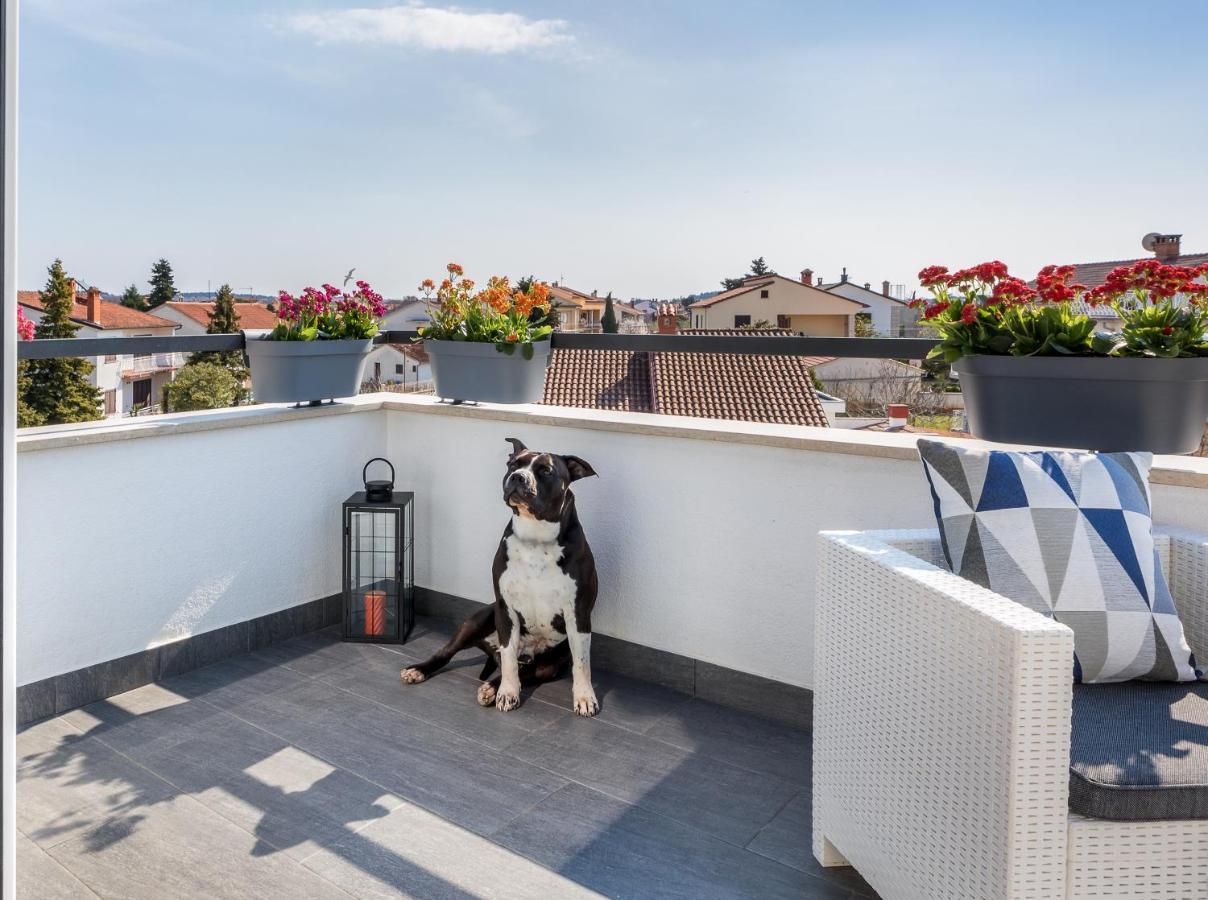 Apartman Nina Fažana Exteriör bild